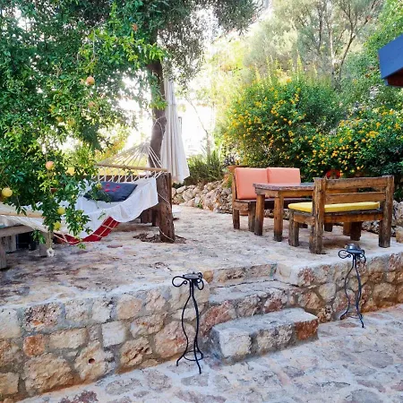 Cinarlar 4* Kaş