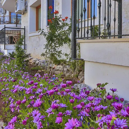 Aparthotel Cinarlar Apart Hotel Kas Kaş